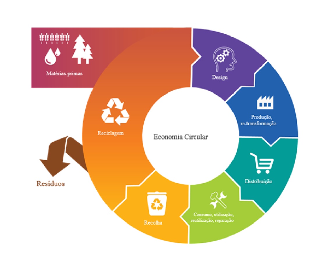 Et fargerikt sirkulært diagram som illustrerer hele konseptet for sirkulær økonomi på portugisisk ('Economia Circular'). Hjulet viser hele livssyklusen: råmaterialer, design, produksjon/transformasjon, distribusjon, forbruk/bruk/gjenbruk/reparasjon, innsamling, resirkulering og avfallshåndtering. Hvert trinn er representert med relevante ikoner, som tydelig demonstrerer hvordan bedrifter kan implementere prinsipper for sirkulær økonomi.